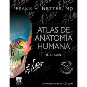 Netter. Atlas de Anatomía Humana.