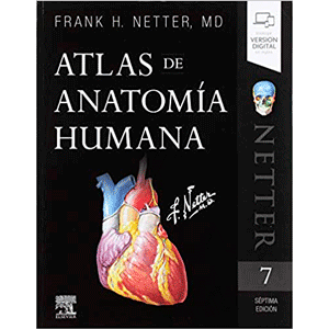 Netter. Atlas de Anatomía Humana